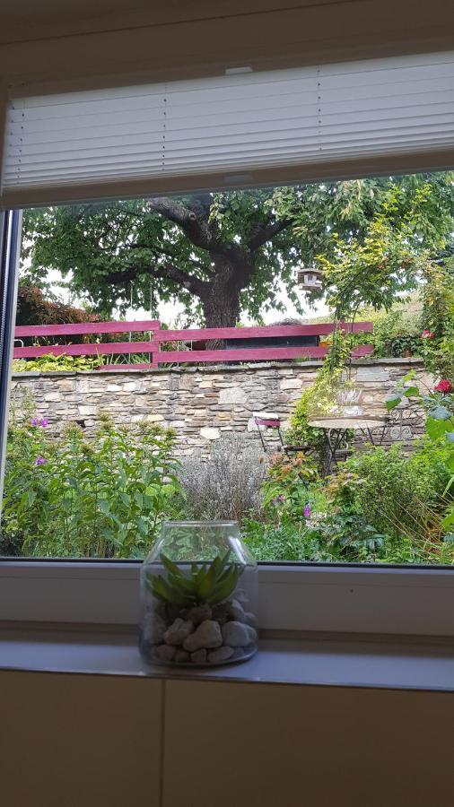Blick Ueber Krems Mit Gartenpavillon Eksteriør billede